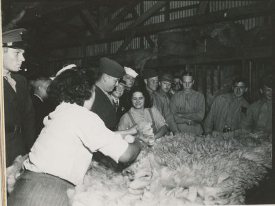 Photo: 127-GW-52462.jpg