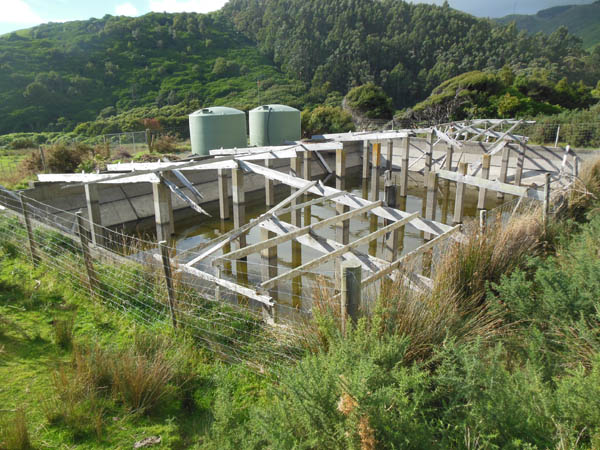 US Marines in New Zealand